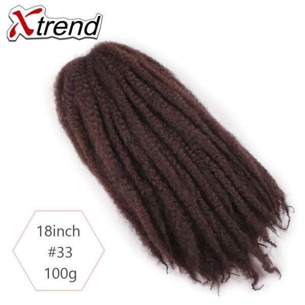 Afro Twist Braid 33