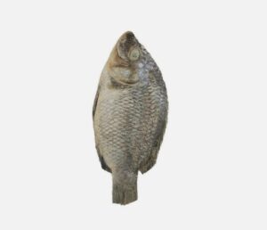 Koobi (salted tilapia)