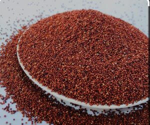 Red Millet