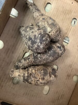 Coconut Yam Coconut Yam