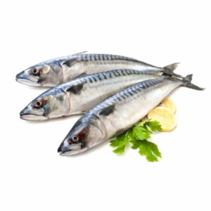 Fresh mackerel Fish). 1
