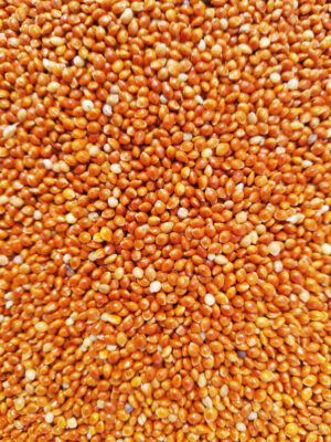 Red Millet 500g