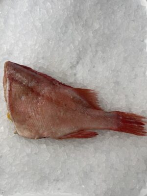 Red bream
