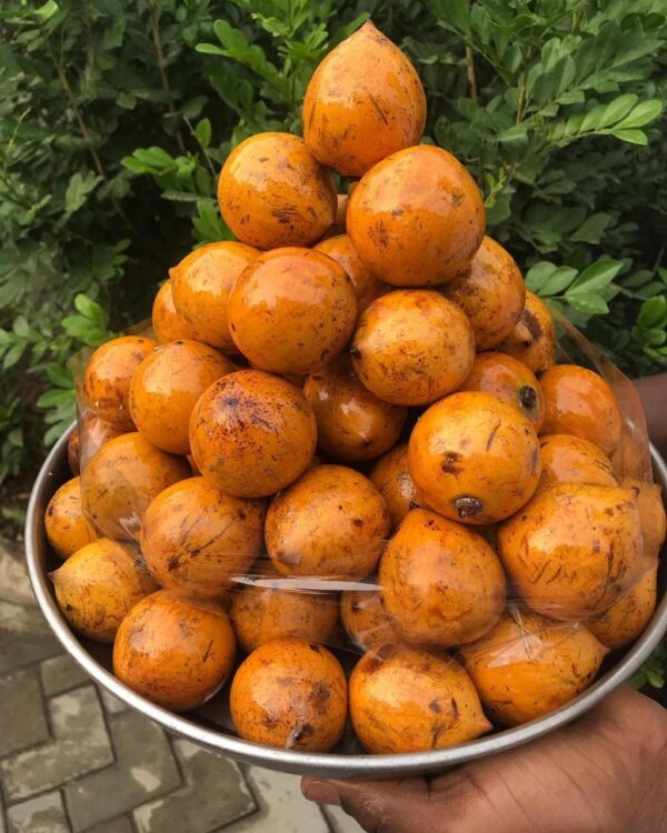 Alasa/African star fruit /Agbalumo