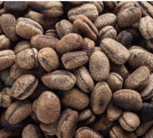 Wediaba/Ehuru seeds