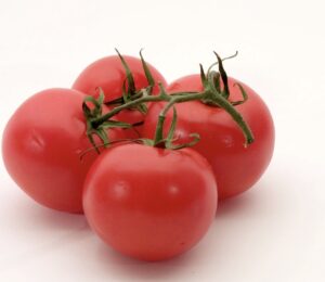 Fresh Tomatoes 3 for 1
