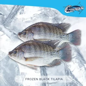 Black Tilapia fish(500-800)