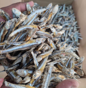 Fried Sprats / Prawns