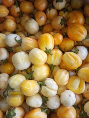 Garden eggs 4 for 1