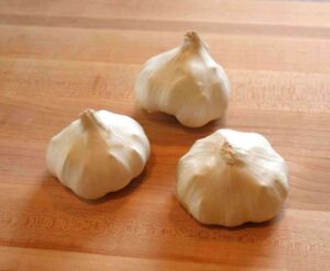 Garlic 3