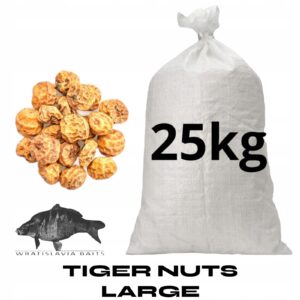 Tiger nut big
