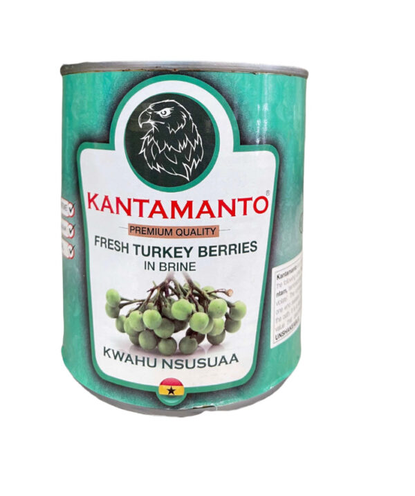 Turkey berry (Kwahu nsusua)