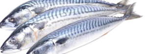 Mackerel Fish 100g