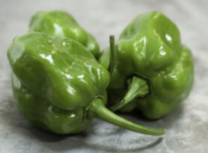 Green Habanero Pepper (per kg)
